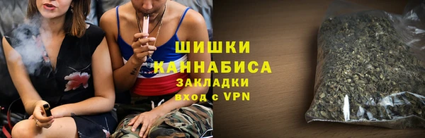 гидра Бородино