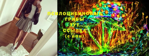 spice Бугульма