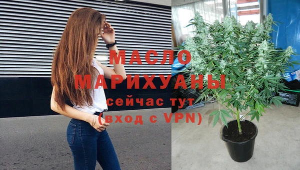 гидра Бородино