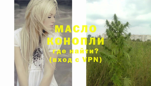 гидра Бородино