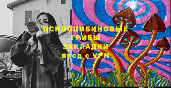 гидра Бородино