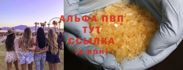 гидра Бородино